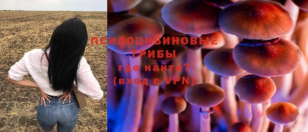 марки nbome Пестово