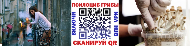 Псилоцибиновые грибы MAGIC MUSHROOMS  Солигалич 