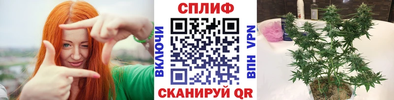 Каннабис OG Kush  Солигалич 